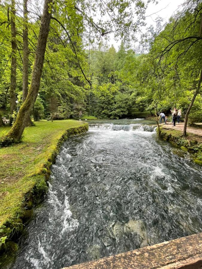 Apartman Magnolia SJJ Exteriér fotografie